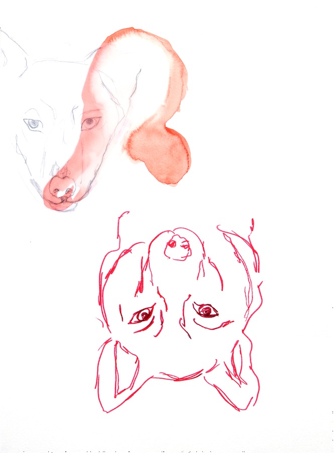 limiers_04