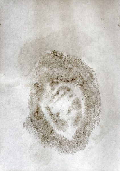 archi_53